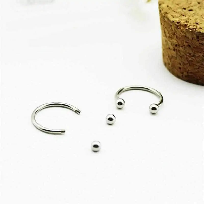 Stainless Earring Pair