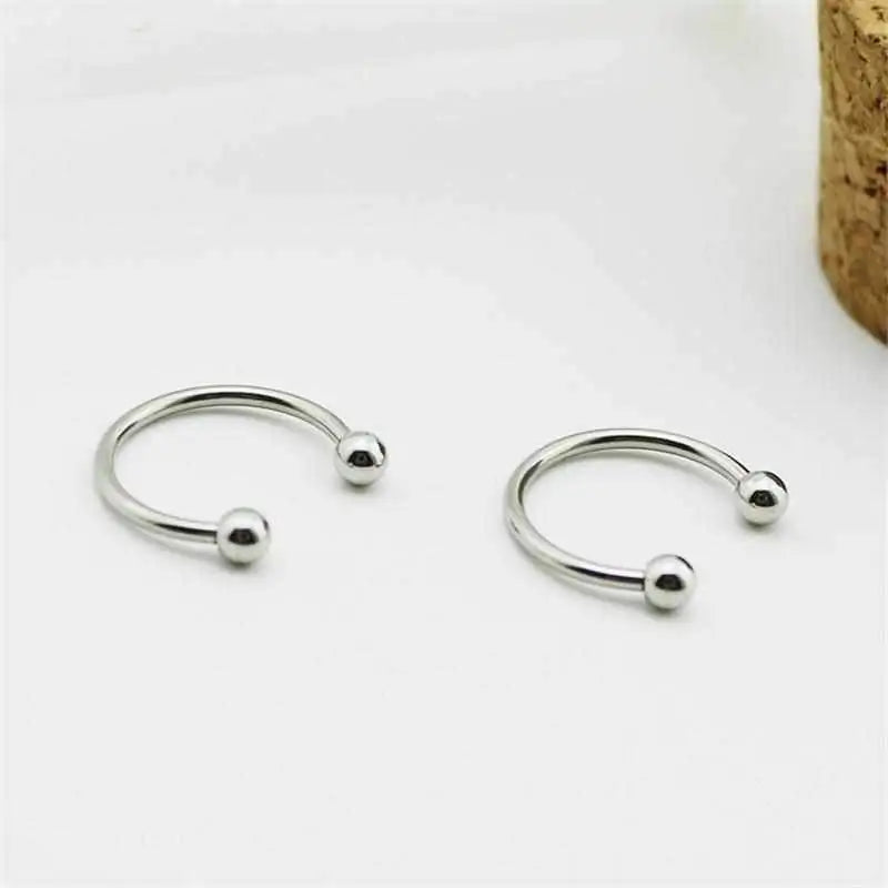 Stainless Earring Pair