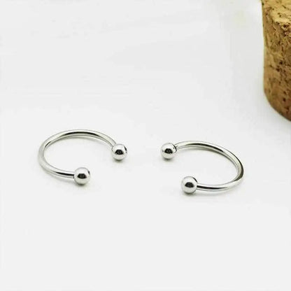 Stainless Earring Pair